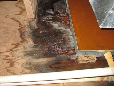 About water damage restoration service - commercial flood cleanup experts in Naperville