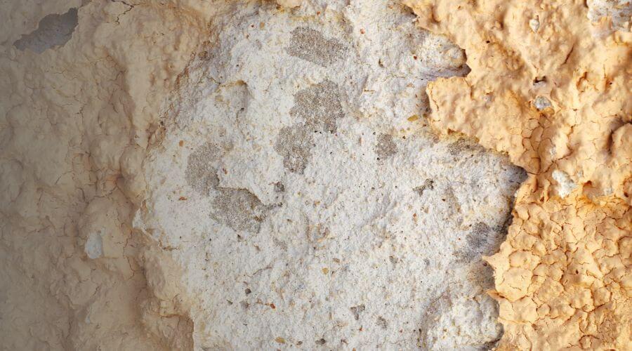 Why choose water damage restoration service for commercial flood cleanup in Naperville